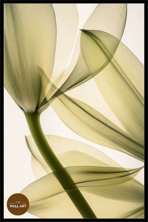 images/products/transparent_leaves_ii/transparent_leaves II_BLACK_P.jpg